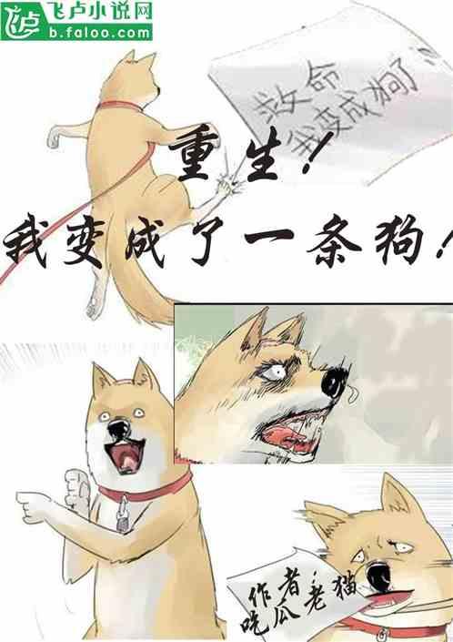 穿越成吃瓜系统,一场别开生面的现代奇遇记  第3张